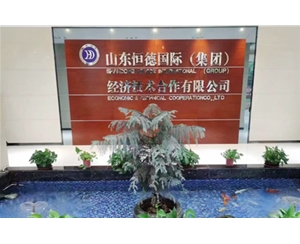 河北恒德公司